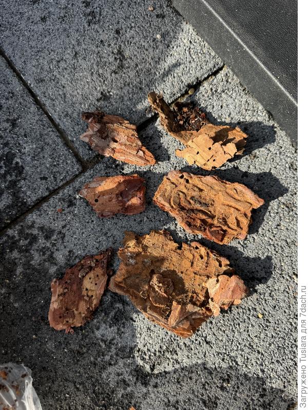 Выбрала вот такие кусочки с дырками