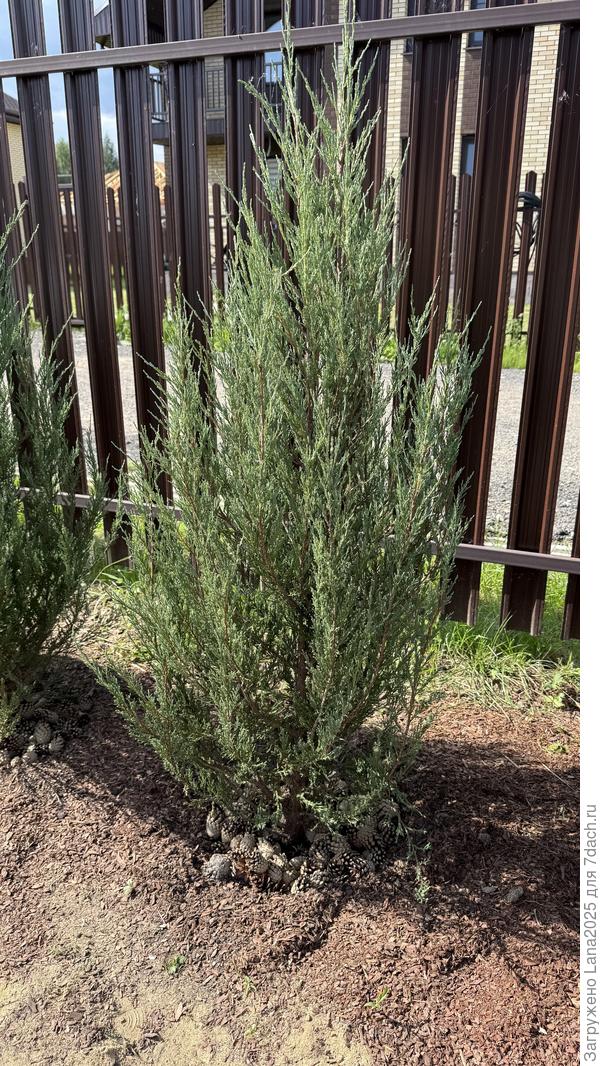 Фото целиком