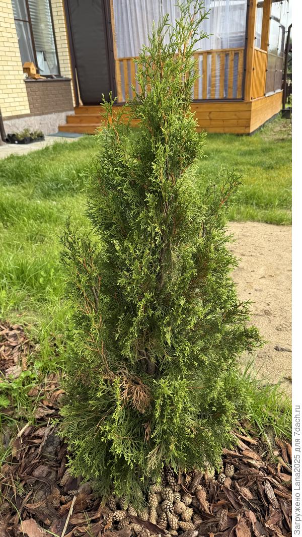 В полный рост