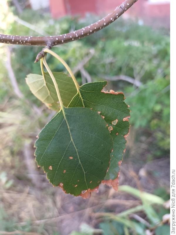 2. То же с другой стороны