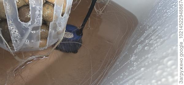 Куча классных помидорковых корешков