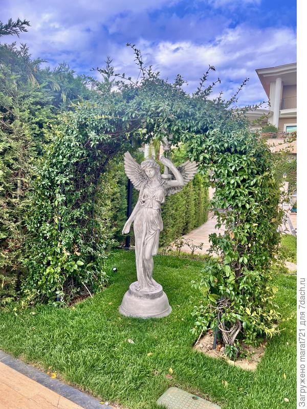 Слава Богу, прижился, пришел в себя и держится молодцом :) всем спасибо за поддержку и комментарии!