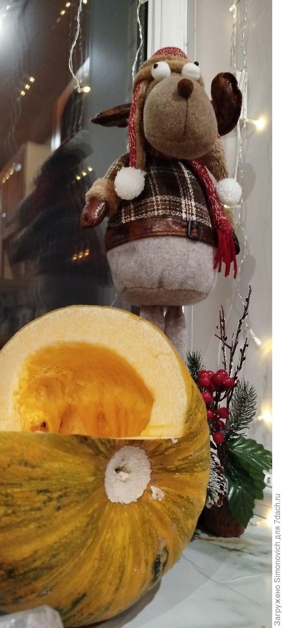 Тыква голосемянка