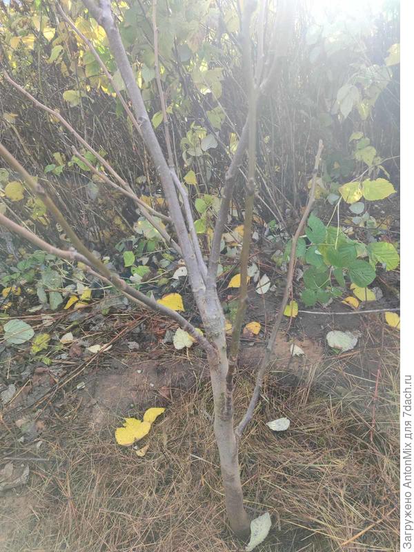 Вид с третьего бока