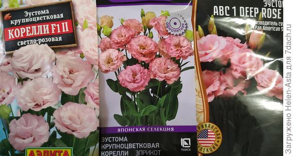 Посев 09.11.2025