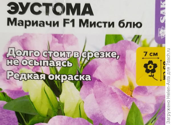 Мариачи F1 Мисти Блю