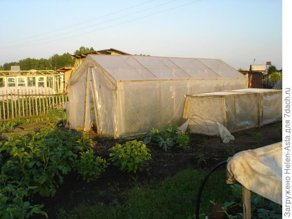 Тепличка, 2004