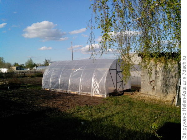 Теплица для томатов, 2014