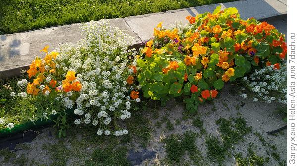 основная рабатка