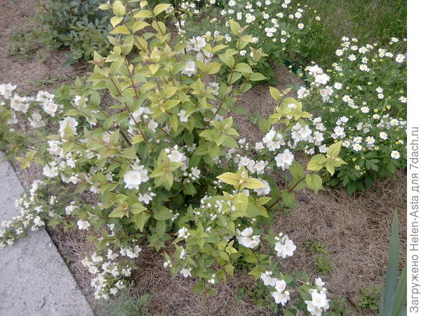 Замерз красавчик