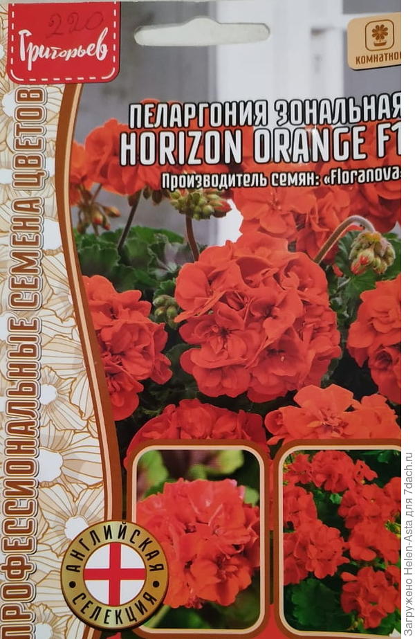 махровый гибрид