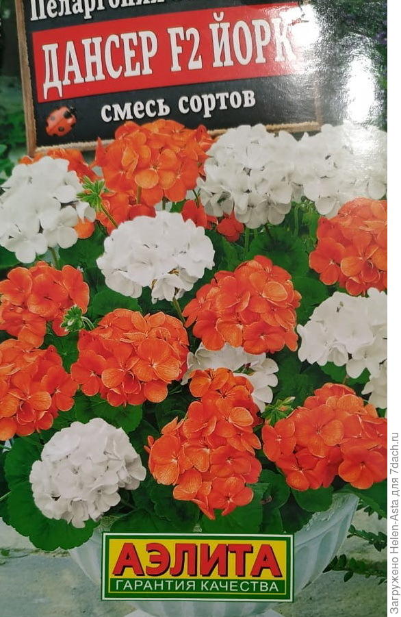 еще один гибрид