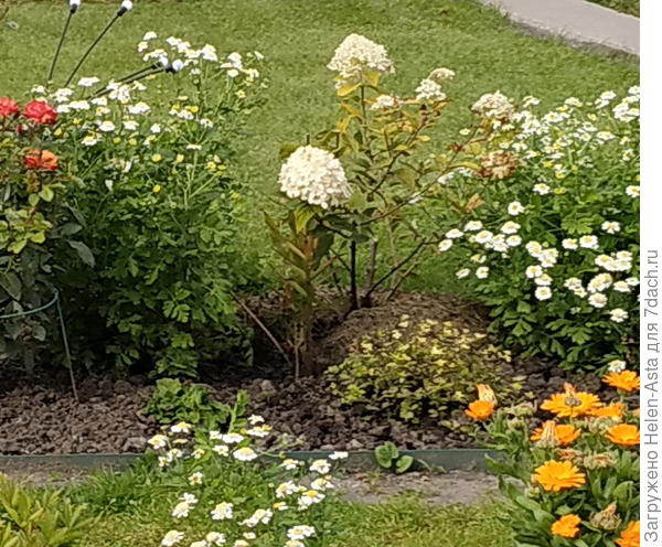 А в 2025 вот такая