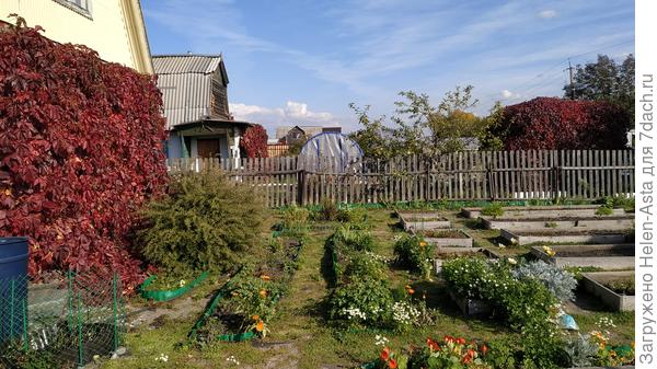 17.09.2025 Гацания и пыль на месте гортензии