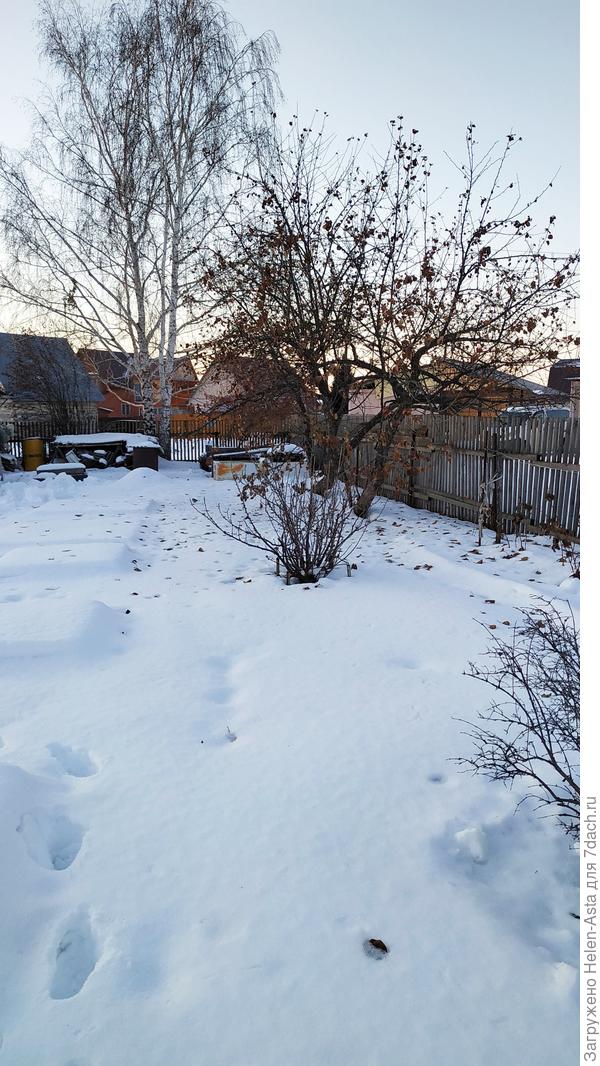 17.11.2025 Природа замерла