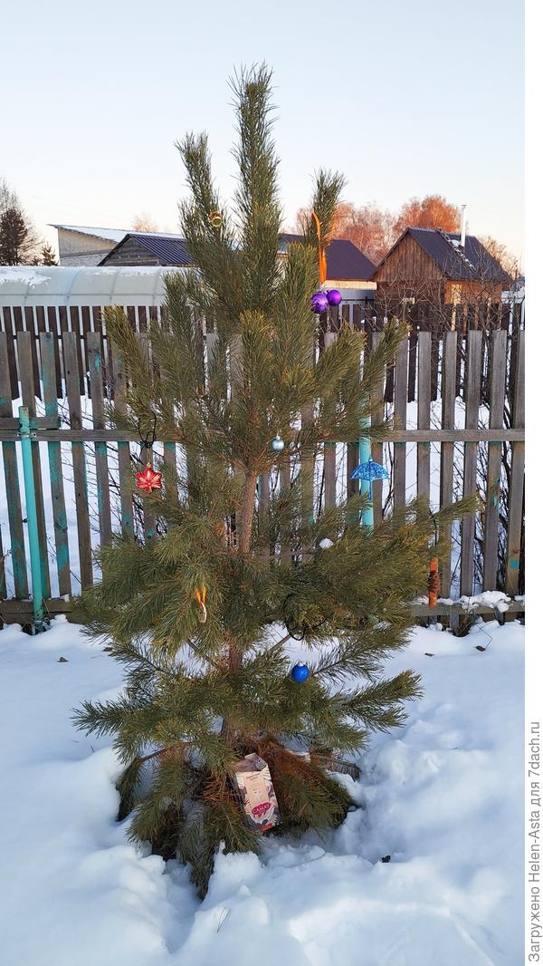 17.11.2025 Скоро-скоро Новый Год (и весна!)