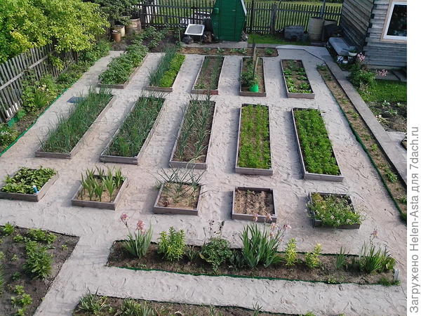 30.06.2018 Вид из окна второго этажа