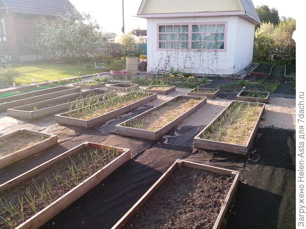 08.06.2018 А песок еще возить и возить