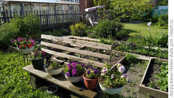 20.06.2019 Грядки под картошку и капусту