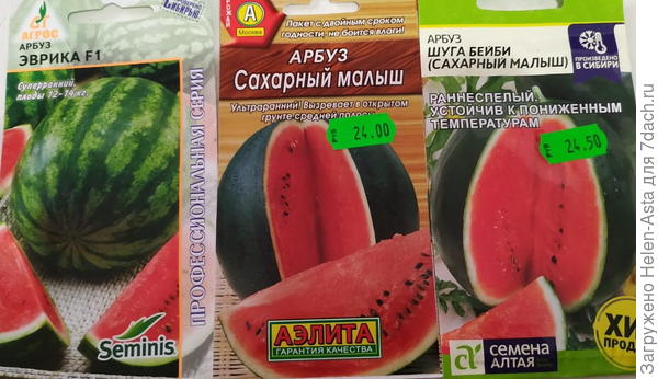 Готовлюсь к посадке 2026