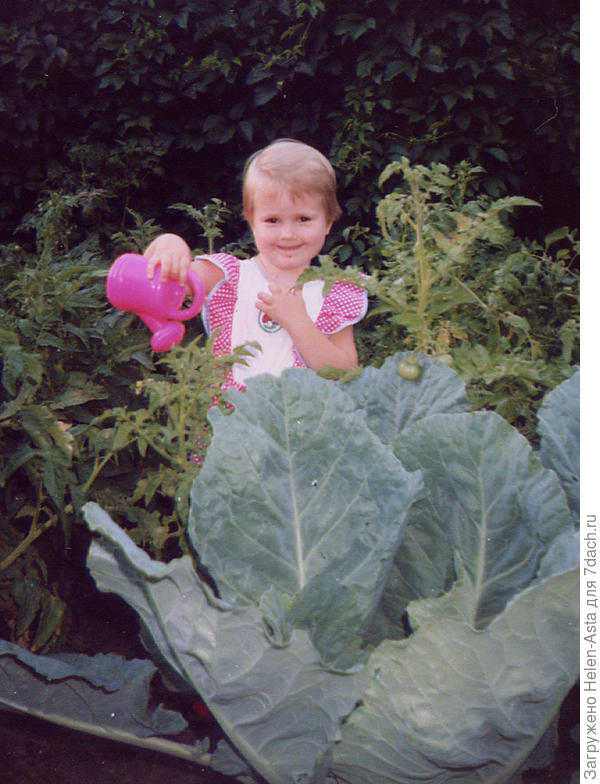 Ростов -на-Дону. Июнь 1997