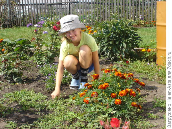 Дача. Август 2004