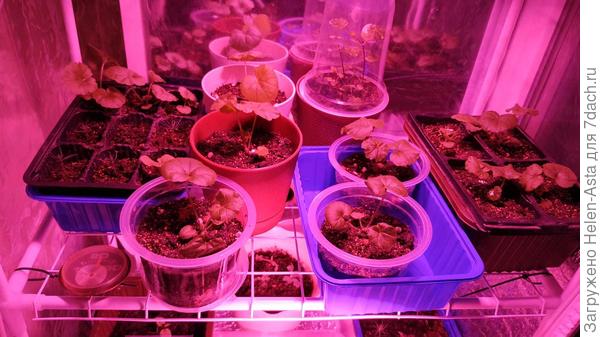 В тесноте, да не в обиде, 24.11.2025