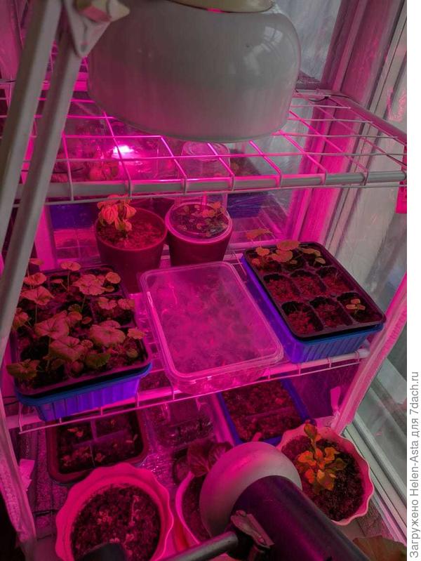 Пора менять место жительства, 22.11.2025