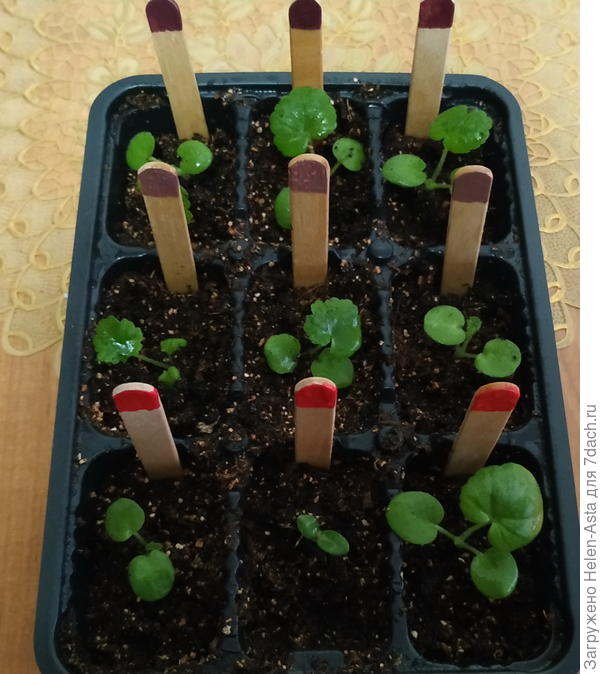 В новом доме, 07.11.2025