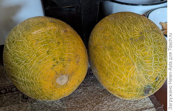 Ранняя 133, август 2025