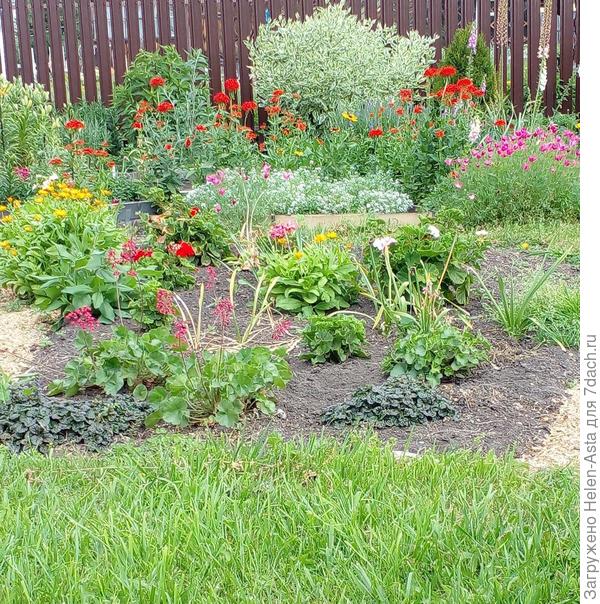 Вот это фото