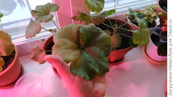 04.12.2025 Размер удивил