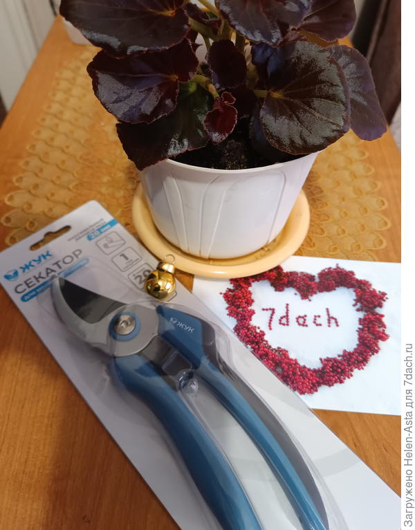 Приз за победу от «7 dach»