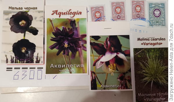 Подарок из Питера