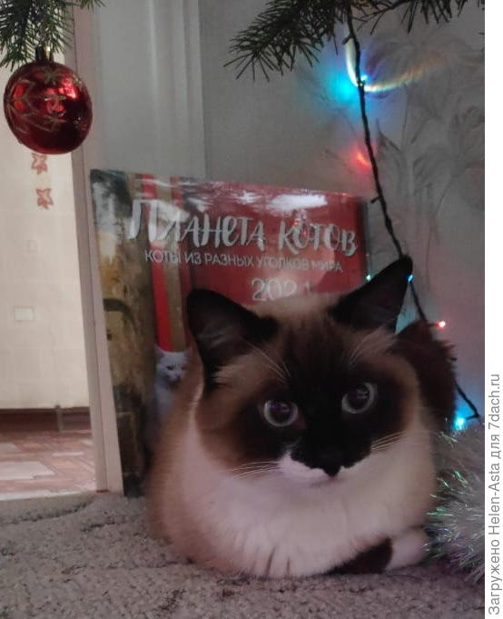 Поздравления от Сёмочки