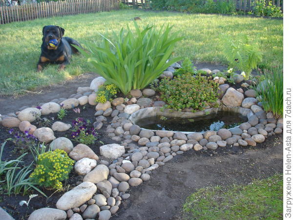 Третий мячик за лето