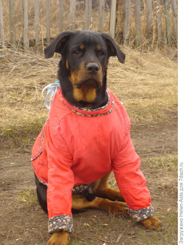 Первый парень на даче