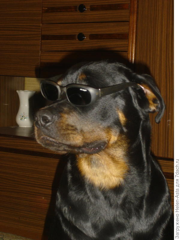 Настоящий Мачо