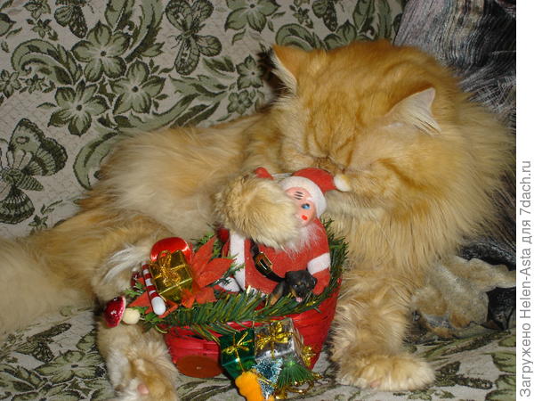 Ричард Львиное Сердце