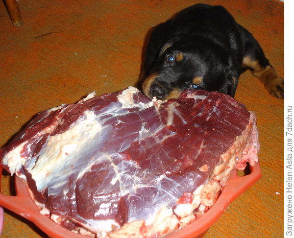 Неужели это всё маЁ?