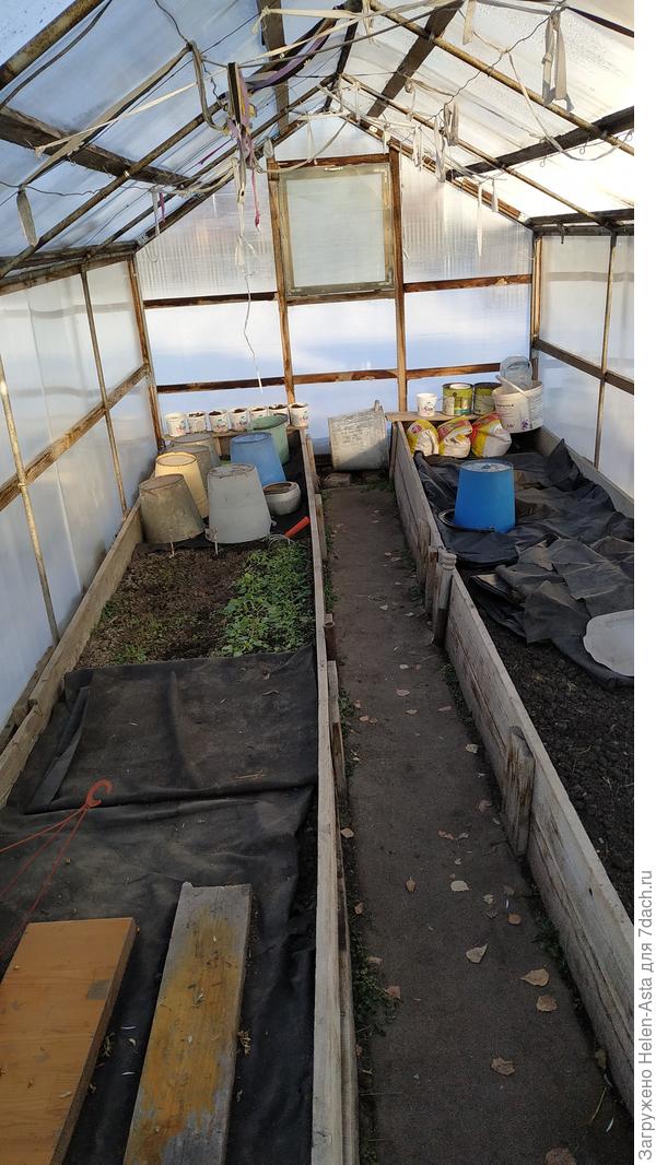 Огуречная теплица зимой