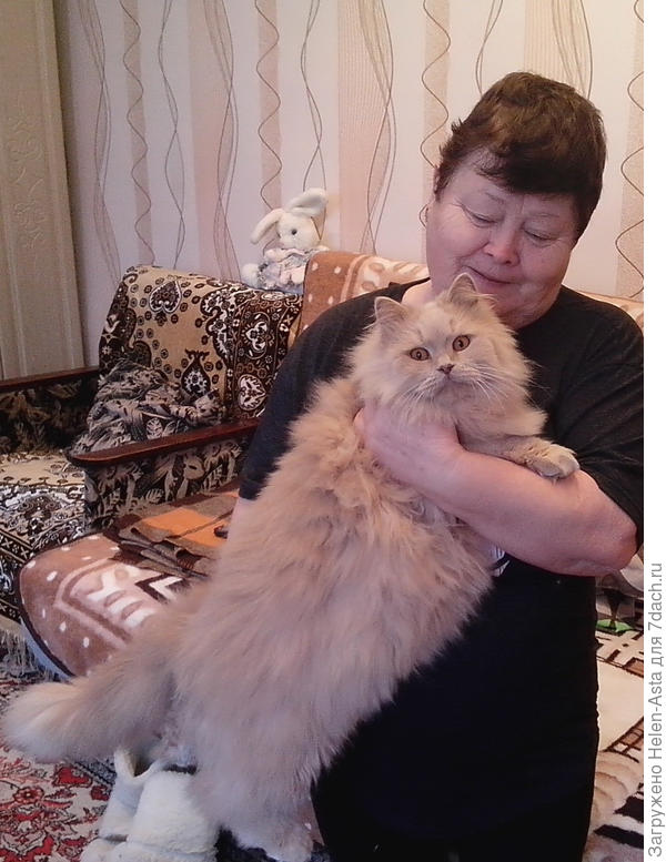 Любовь - она такая