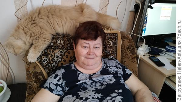 В любимом кресле