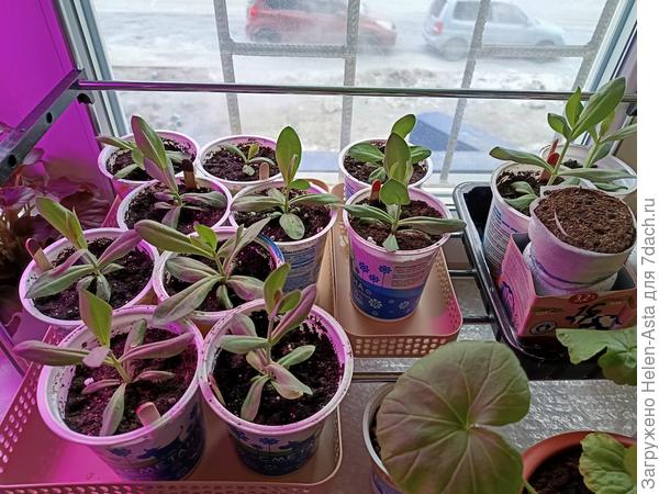 Первый класс - просторное помещение.