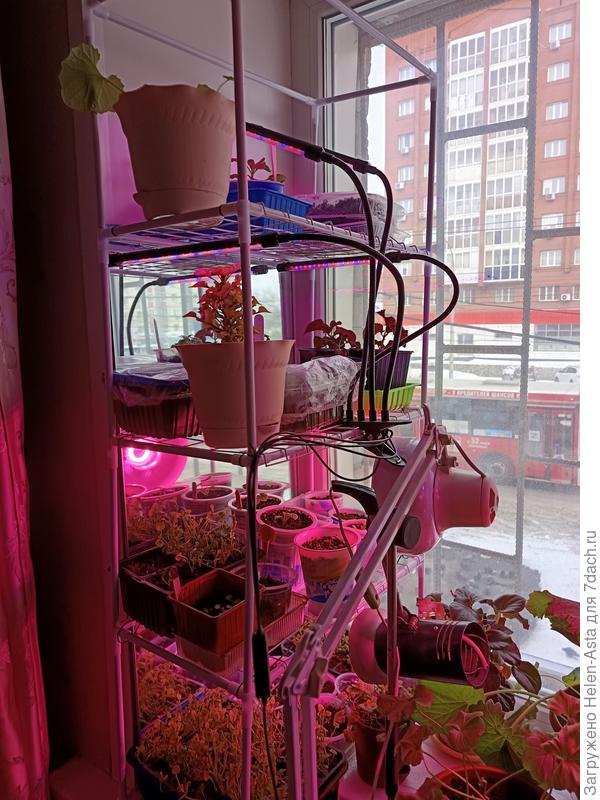 Парник без чехла