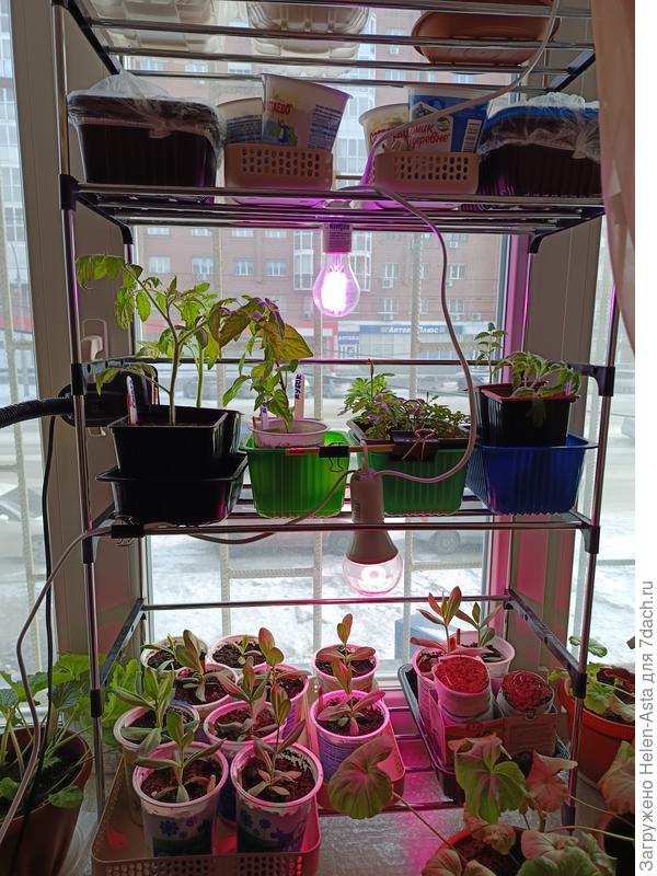 На окне 24.02.2026