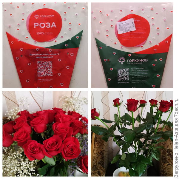 Горкунов и компания