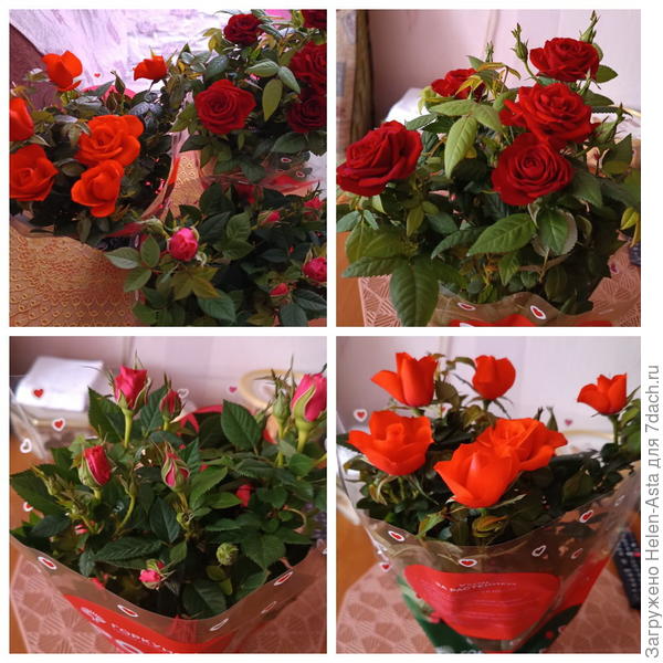 Подарки к празднику