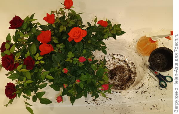 К посадке готов, почти...