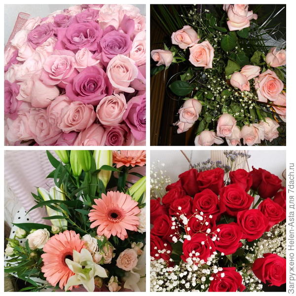 Королева бала